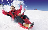 Cosmos Snow Fun Image