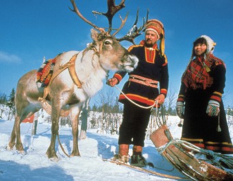 Sami Reindeer Hearder in Lapland