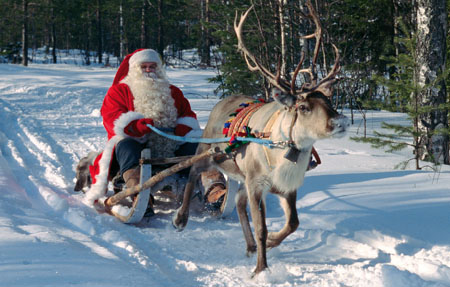 Santa On Sleigh